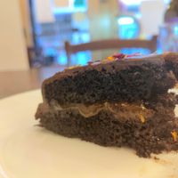 Sacher at ZEM Bistro in Bologna