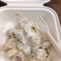 Very very small portion of tortellini.  Which was just as well because it was awful.  You had to order a cross the road then pick it up in 10 minutes in a takeaway bag. at ZEM Bistro in Bologna