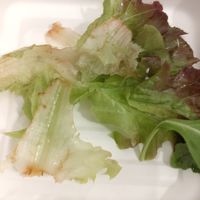 Brown mixed salad at ZEM Bistro in Bologna