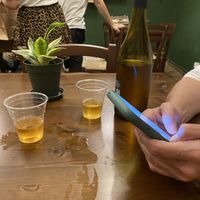   at ZEM Bistro in Bologna