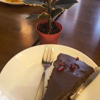 Sacher at ZEM Bistro in Bologna