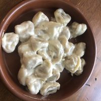   at ZEM Bistro in Bologna