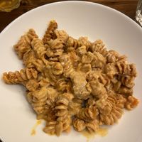 Oven-baked pasta of the dayy  at ZEM Bistro in Bologna