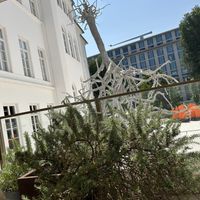 Nice place   at Life Deli in Frankfurt