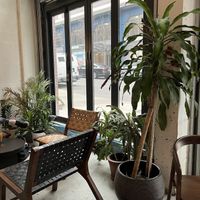 Inside view looking out to Front St.  at Beepublic in Brooklyn