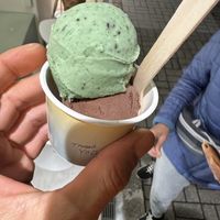 Hazelnut chocolate and mint chocolate chip. Pretty good!  at Tutto in Tokyo