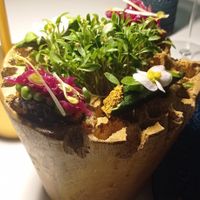  at Avatara Restaurant in Dubai