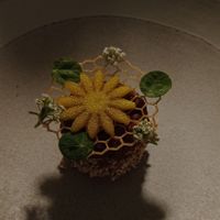  at Avatara Restaurant in Dubai