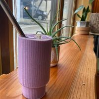   at Shizen  in Nozawaonsen