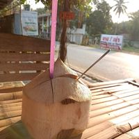 Fresh coconut at Hula Hula Pai Hostel and Restaurant in Pai