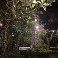 View   at 9 Angels in Ubud