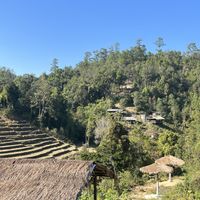 Views  #Veganuary at Chang Chill in Chiang Mai