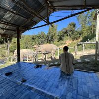 Observation deck  #Veganuary at Chang Chill in Chiang Mai