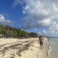 Beach😍  at Restaurant Playa Palancar in Cozumel