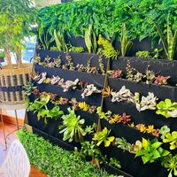 Living wall at Sweet Greens Juice Bar in Eureka