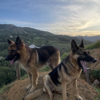   at Riverside in Jerico