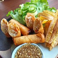 Spring rolls at Penne in Koh Samui