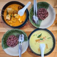 Delicious Massaman & Green Curry at Penne in Koh Samui