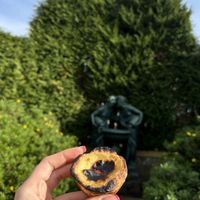 the best vegan pastel de nata i ever tried !!  #Veganuary at A Padoca in Porto