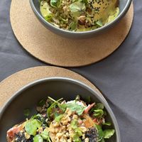  #Veganuary at A Padoca in Porto