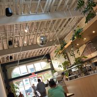 Inside  at Project Coffee - Rosemary in Sarasota