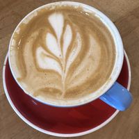 Latte with oat milk  at Project Coffee - Rosemary in Sarasota