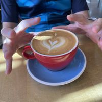 Latte   at Project Coffee - Rosemary in Sarasota