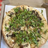 Fungi pizza with NUMU Vegan mozzarella   at Lucas Pizza in Selbyville