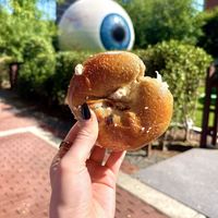 Cinnamon raisin bagel w vegan schmear   at Starship Bagel in Dallas