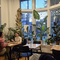 Beautiful plants! at Mera Kitchen Collective in Baltimore