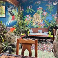 Inside   at Sativa Studio Cafe in Banos