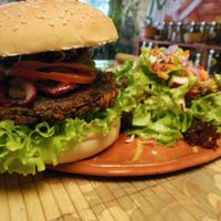 Vegan burger & salad at Sativa Studio Cafe in Banos