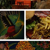 Sativas Veggie Burger 🍃🍔 at Sativa Studio Cafe in Banos