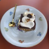 Peanut  at Maison Folius in Carqueiranne