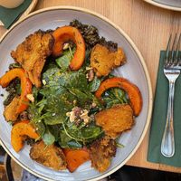 Austernpilz Schnitzel auf Gemüsesalat  at Schnitzelei Wilmersdorf in Berlin
