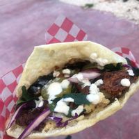 Falafel Sandwich   at Monkey Monkey Falafel in Bacalar