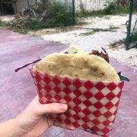Size of the sandwich   at Monkey Monkey Falafel in Bacalar