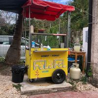 Monkey Monkey Falafel Cart  at Monkey Monkey Falafel in Bacalar
