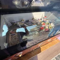 Ice cream and sorbet options   at Gemelli in Chiang Rai