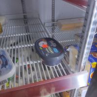 Vegan cream cheese at 3R Mall in Bocas Del Toro