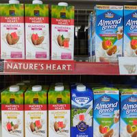 Vegan milks at 3R Mall in Bocas Del Toro