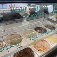 Vegan flavors   at Scratch Ice Cream in Brookfield