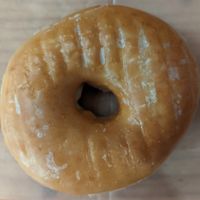 Raised Glazed at Voodoo Doughnut Too in Portland