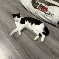   at La Gata Insubmisa in Tarragona