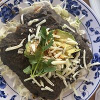 Vegan enchiladas  at Jotoro Kitchen & Tequila Bar in Tampa