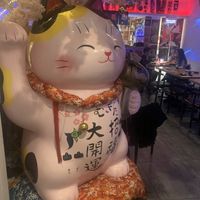 Gatto 🐱  at Senbazuru Izakaya in Dublin