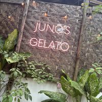   at Juno's Gelato in Palolem
