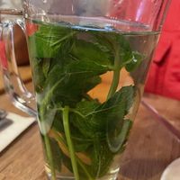 Mint Tea  at Moose Coffee in Liverpool