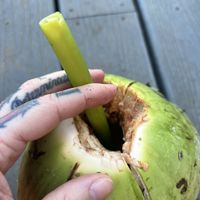 Even the straw is plant based.  at Market at Sun Farm in Honolulu