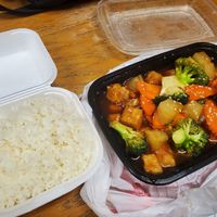 Sesame Tofu at Lue Thai Cafe in Dearborn